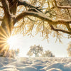 Led Wandbild Verzauberte Winterlandschaft Panorama Zoom